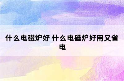 什么电磁炉好 什么电磁炉好用又省电